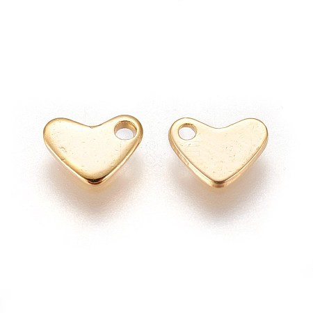 304 Stainless Steel Charms STAS-E460-08G-1