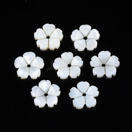 Natural Freshwater Shell Beads SHEL-N026-185-1