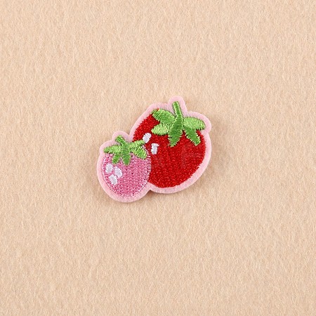 Computerized Embroidery Cloth Iron on/Sew on Patches LS-DIY-F038-E03-1