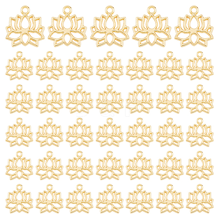 40Pcs Alloy Charms FIND-HS0001-97-1
