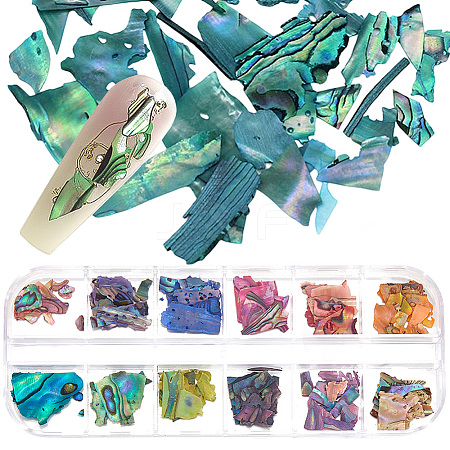 1 Set 12 Grid Nuggets Abalone Shell Nail Art Sequins for Woman Girls MRMJ-SP0001-07-1