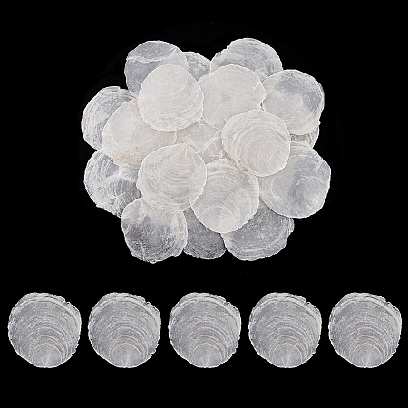 60Pcs Naturtal Capiz Shell Beads FIND-PH0026-67-1