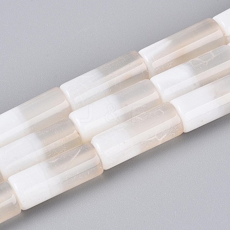 Natural White Agate Beads Strands G-T144-31-1