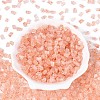 Transparent Spray Painted Glass Seed Beads SEED-L011-10A-13-2