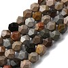 Natural Picasso Jasper Beads Strands G-Z119-A25-02-3