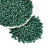 Baking Paint Pearlized Glass Seed Beads SEED-T007-21A-15-3