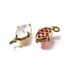 Brass Charms X1-KK-Q043-06G-2
