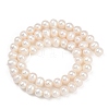 Natural Cultured Freshwater Pearl Beads Strands PEAR-I007-07Y-03A-3