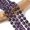 Natural Amethyst Beads Strands G-F809-A32-01-1