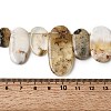 Natural African Opal Beads Strands G-D365-D01-4