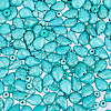 310Pcs 5 Styles Synthetic Turquoise & Howlite Beads Sets TURQ-PA0001-02-7
