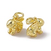 Rack Plating Brass Charms X-KK-C007-17G-2