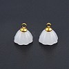 Glass Charms LS-PALLOY-P285-31G-02-3