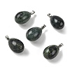 Natural Kambaba Jasper Pendants GG-K002-08A-14-1