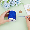 1 Roll 100 Yards Round Nylon Braided Thread NWIR-PH0002-22E-3