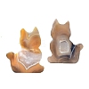 Natural Agate Display Decorations PW-WG01105-01-4