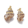 Electroplate Spiral Shell Pendants SSHEL-O019-14-1