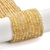 Natural Citrine Beads Strands G-Z074-A03-02-2