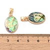 Constellation Natural Paua Shell Pendants KK-P265-01G-04-3