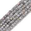 Natural Freshwater Shell Dyed Beads Strands SHEL-R100-11A-02-1