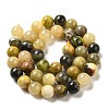 Natural Bumblebee Jasper Beads Strands G-NH0008-01-3