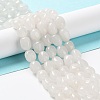 Natural White Jade Beads Strands G-E614-B01-08-1