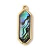 Paua Shell Pendants SSHEL-B145-01F-G-1