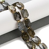 Natural Labradorite Beads Strands G-H061-A01-01-2