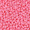 Baking Paint Glass Seed Beads SEED-T006-03P-2