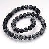 Natural Snowflake Obsidian Gemstone Beads G-J338-03-8mm-2