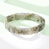 Natural Labradorite Faceted Beaded Stretch Bracelets for Women BJEW-K251-08A-2
