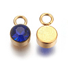 Glass Rhinestone Charms STAS-F189-B06-2