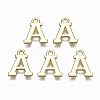 Alloy Charms PALLOY-Q441-025A-NR-1
