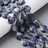Natural Blue Spot Jasper Beads Strands G-P570-E19-02-1