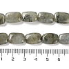 Natural Labradorite Beads Strands G-K357-D16-01-5