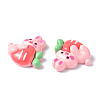 Opaque Resin Cabochons CRES-P023-06H-3