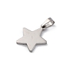 304 Stainless Steel Pendants STAS-Z114-03P-02-2