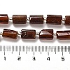Natural Garnet Beads Strands G-N327-06-19-5