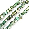 Dyed Natural Freshwater Shell Beads Strands SHEL-P016-01I-1