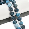 Natural Apatite Beads Strands G-G182-B42-06-2