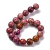 Dyed Natural Regalite/Imperial Jasper/Sea Sediment Jasper Beads Strands G-B124-C03-09-5