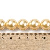 Electroplated Shell Pearl Beads Strands BSHE-G041-14mm-01-4