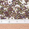 MIYUKI Delica Beads X-SEED-J020-DB0029-4