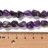 Natural Amethyst Beads Strands G-P497-01E-45-5