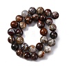 Natural Mexico Crazy Agate Beads Strands G-L615-A01-04-5