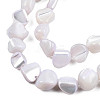 Natural Trochid Shell/Trochus Shell Beads Strands SSHEL-N032-49-A02-2