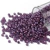 TOHO Round Seed Beads SEED-XTR08-0625F-1