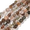 Natural Rutilated Quartz Beads Strands G-P497-01E-08A-1