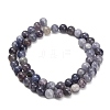Natural Iolite Beads Strands X-G-G300-A04-8mm-3