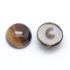 Natural Tiger Eye Cabochons G-E492-H-13-2